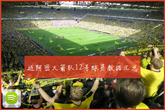 迈阿密火箭队12号球员数据汇总